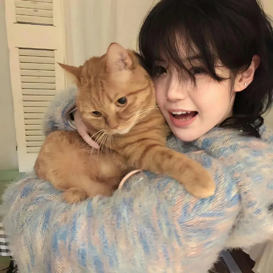 类人猿行动国语 封面